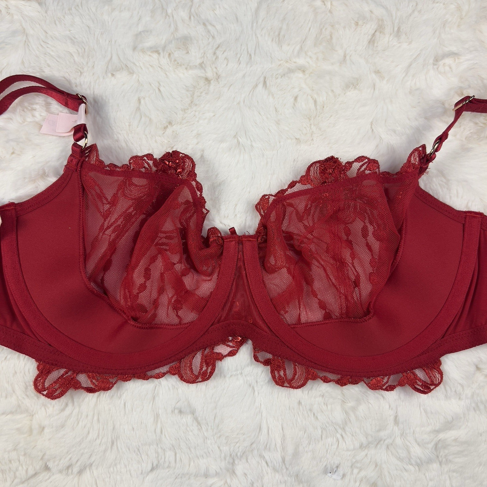 Victoria’s Secret Dream Angels Embroidered‎ Mesh Push-Up Bra Red Size 34B NWT - Picture 6 of 10